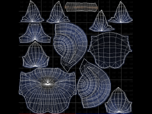 Base Hair for Boy V56 Modèle 3D