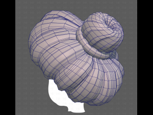 Base Hair for girl V56 3D Model