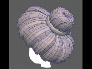 Base Hair for girl V56 3D Model