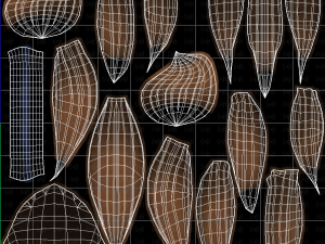 Base Hair for girl V56 3D Model