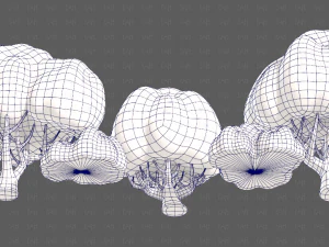 Trees Cartoon V45 3D Model