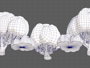 Trees Cartoon V45 3D Model