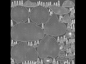 Trees Cartoon V45 3D Модель