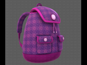 Bag V16 Model 3D
