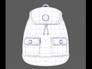 Bag V16 Model 3D