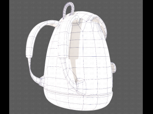 Bag V16 Model 3D