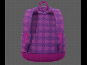 Bag V16 Model 3D