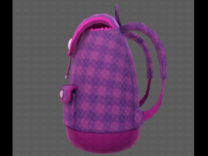Bag V16 Model 3D