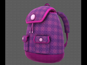 Bag V16 Model 3D