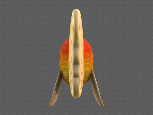 Fish V11 3D Model