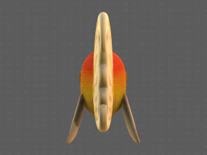 Fish V11 3D Model