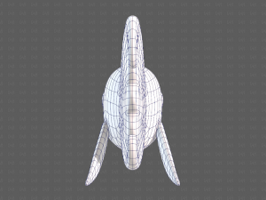 Fish V11 3D Model