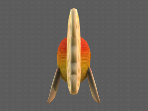 Fish V11 3D Model