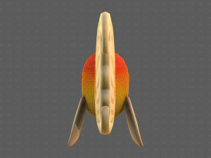 Fish V11 3D Model