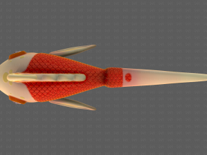 Fish V11 3D Model
