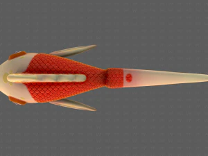 Fish V11 3D Model