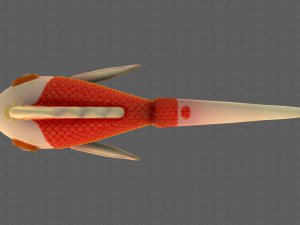 Fish V11 3D Model