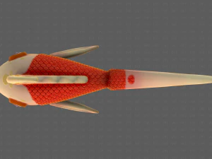 Fish V11 3D Model