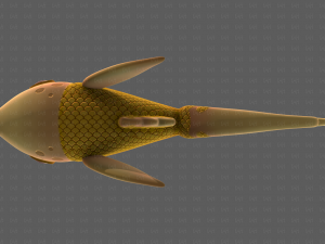Fish V11 3D Model