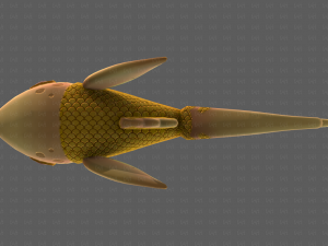 Fish V11 3D Model