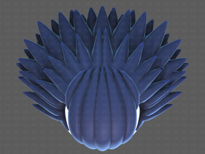 Base Hair for Boy V57 Model 3D