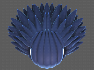 Base Hair for Boy V57 Model 3D