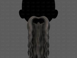 Beard V57 3D Model