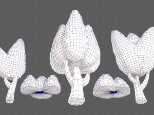 Trees Cartoon V48 3D Model