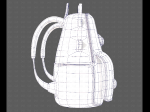 Bag V17 3D Model