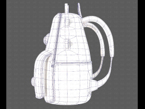 Bag V17 3D Model