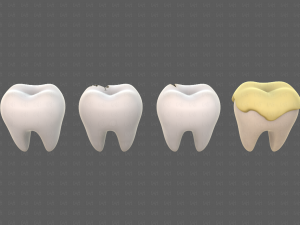 Teeth Cartoon V03 3Dモデル