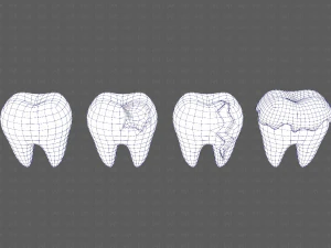 Teeth Cartoon V03 3D Model