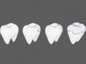 Teeth Cartoon V03 3D Model