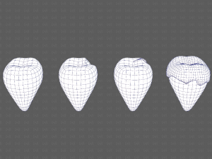 Teeth Cartoon V03 3Dモデル