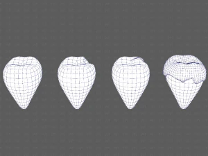 Teeth Cartoon V03 3D Model