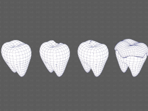 Teeth Cartoon V03 3Dモデル