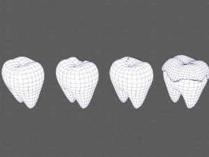 Teeth Cartoon V03 3D Model