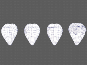 Teeth Cartoon V03 3Dモデル