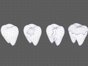 Teeth Cartoon V03 3Dモデル