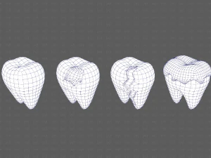 Teeth Cartoon V03 3D Model