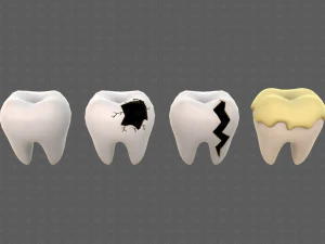 Teeth Cartoon V03 3D Model