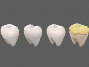 Teeth Cartoon V03 3Dモデル