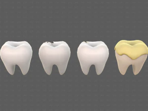 Teeth Cartoon V03 3D Model
