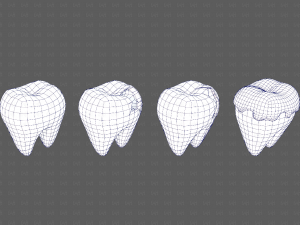 Teeth Cartoon V03 3Dモデル