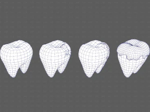 Teeth Cartoon V03 3D Model