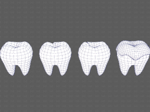 Teeth Cartoon V03 3Dモデル