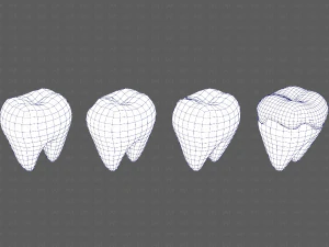 Teeth Cartoon V03 3D Model