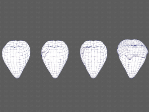 Teeth Cartoon V03 3Dモデル