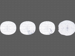 Teeth Cartoon V03 3Dモデル