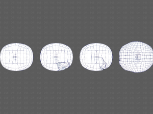 Teeth Cartoon V03 3Dモデル